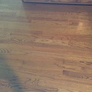 Meet your Posher, Molly