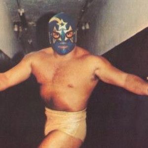 Meet your Posher, Terry