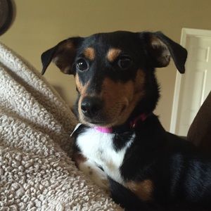 Meet your Posher, Jasmine