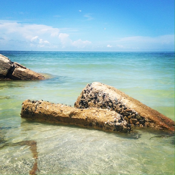 Meet your Posher, Chelsea - Picture 1 of 1