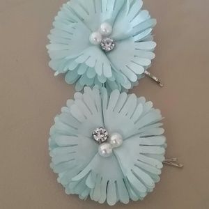 Mint Green Hair Clips