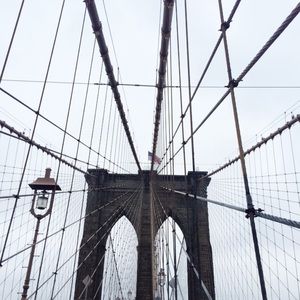 Meet your Posher, Lola