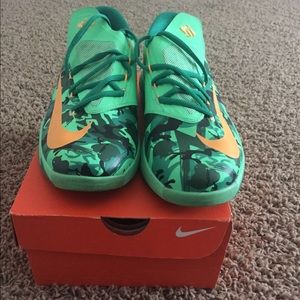 Kd's