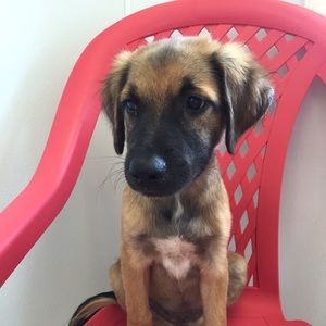 Meet your Posher, Cassidy