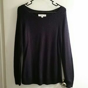 Ann Taylor LOFT Sweater