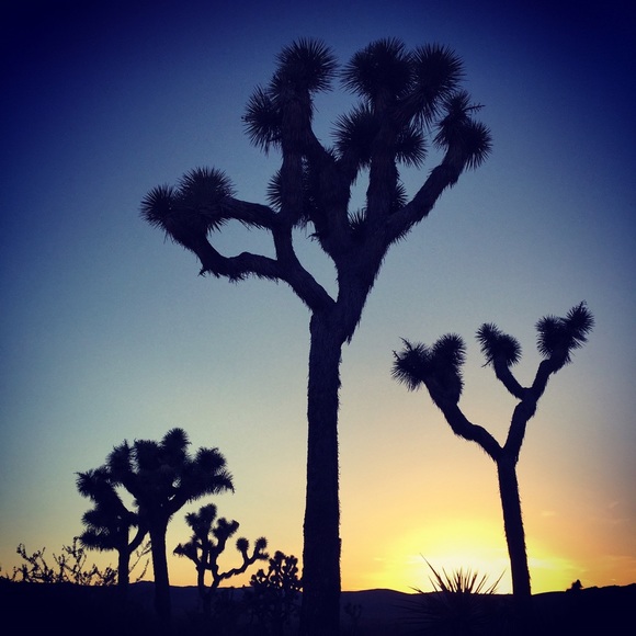 Meet your Posher, Lisa - Picture 1 of 1