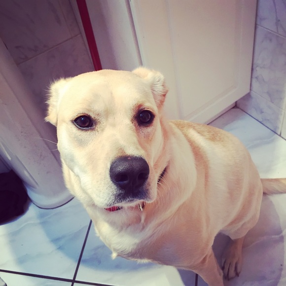 Meet your Posher, Mariposa