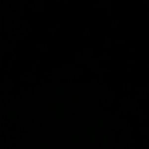 Meet your Posher, Kaneena