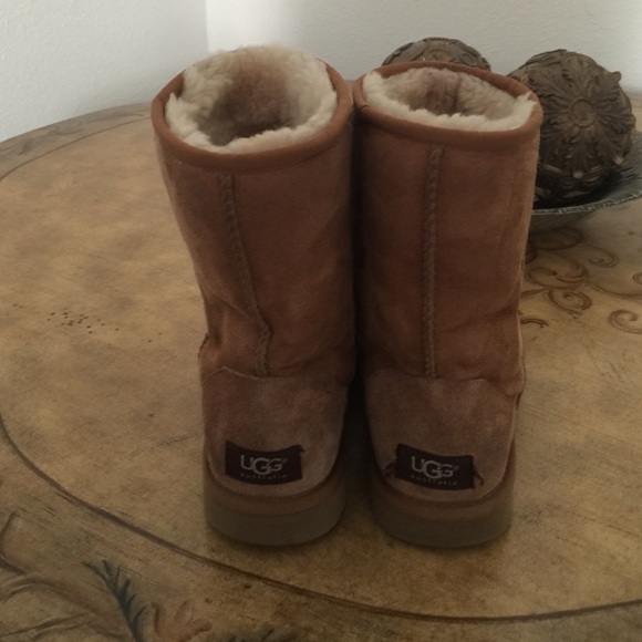 chesnut short uggs chesnut short uggs