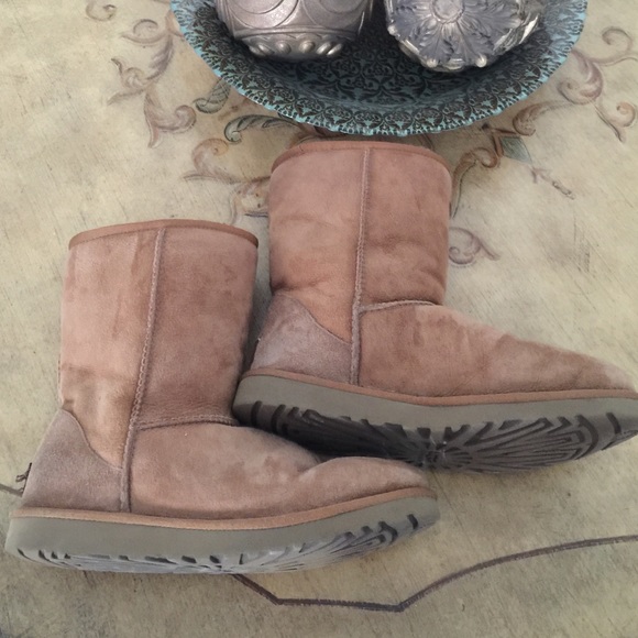 chesnut short uggs chesnut short uggs