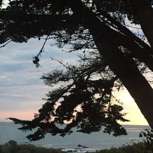 Meet your Posher, Selena