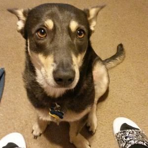 Meet your Posher, Tammy