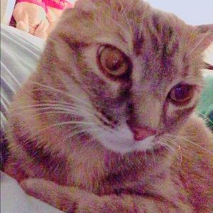 Meet your Posher, Wendy