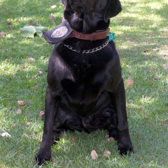 Meet your Posher, Leslie