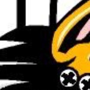 Meet your Posher, Brandi