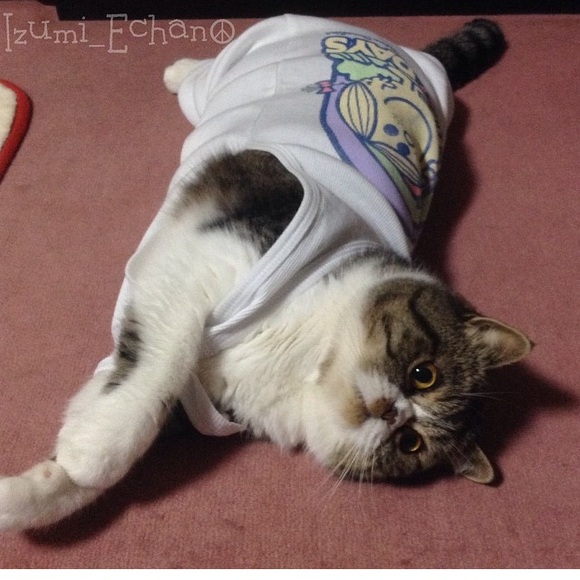 Meet your Posher, Kayla - Picture 1 of 1