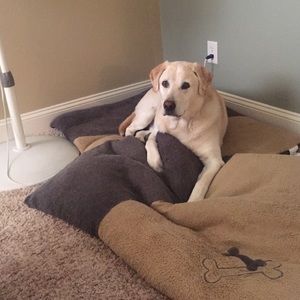 Meet your Posher, Erinn