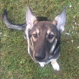 Meet your Posher, Briana