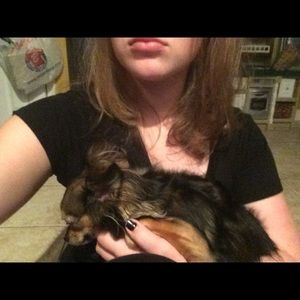 Meet your Posher, Emma