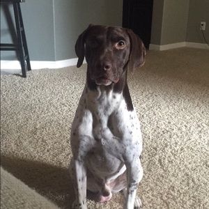 Meet your Posher, Grace