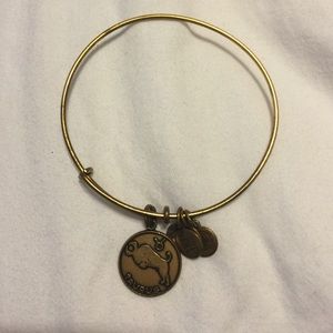 Taurus Alex and Ani