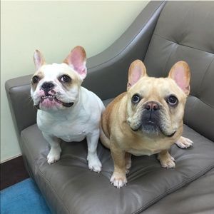 Meet your Posher, Jodi