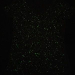 Meet your Posher, Maritza