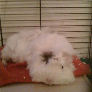 Meet your Posher, Courtney