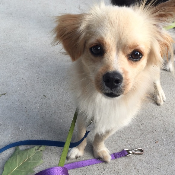 Meet your Posher, Anne-Marie - Picture 1 of 1