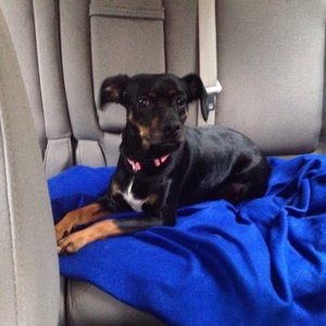 Meet your Posher, Stephanie