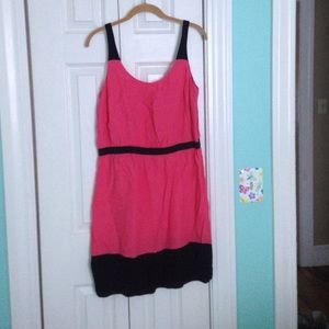 Loft Pink and Black Dress
