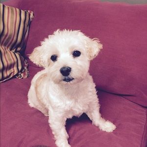 Meet your Posher, Leigh