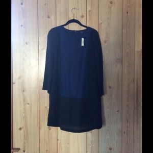 Madewell Blue and Black Shift Dress