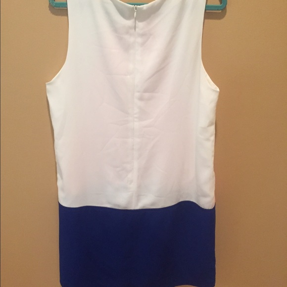 Color Block Shift Dress - Picture 2 of 3