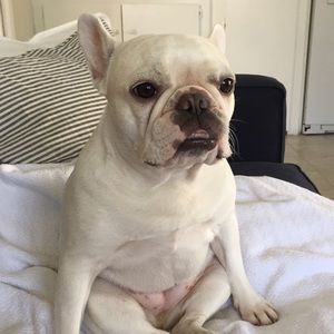 Meet your Posher, Natalie