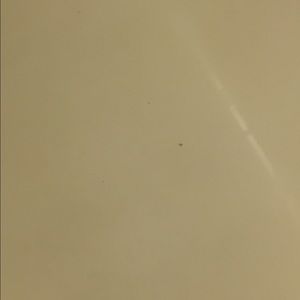 Meet your Posher, Chamontez