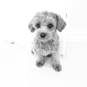 Meet your Posher, Kaori