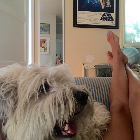 hi!!! I'm les!! ❤️ ☀️🐝🌼 - Picture 2 of 3