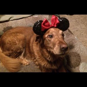 Meet your Posher, Kellie