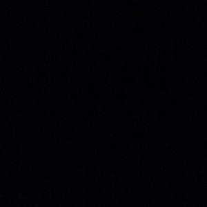 Meet your Posher, Maddy