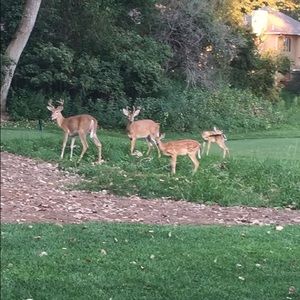 Meet your Posher, Jake