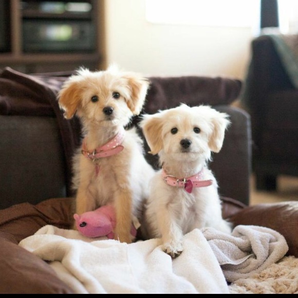 Meet your seller! - Picture 3 of 4