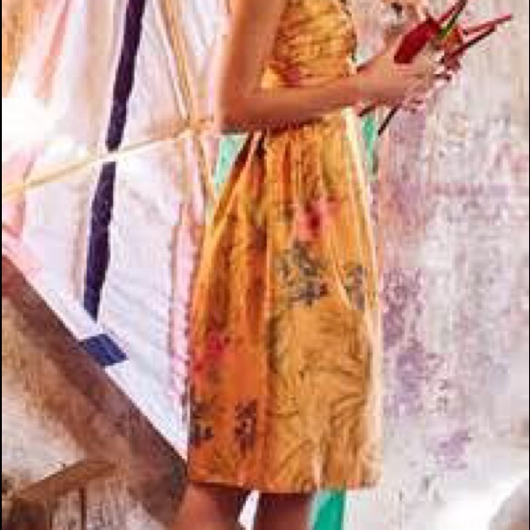 Anthropologie Floral Peplum Dress