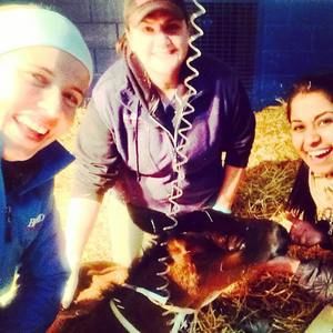 Meet your Posher, Abby