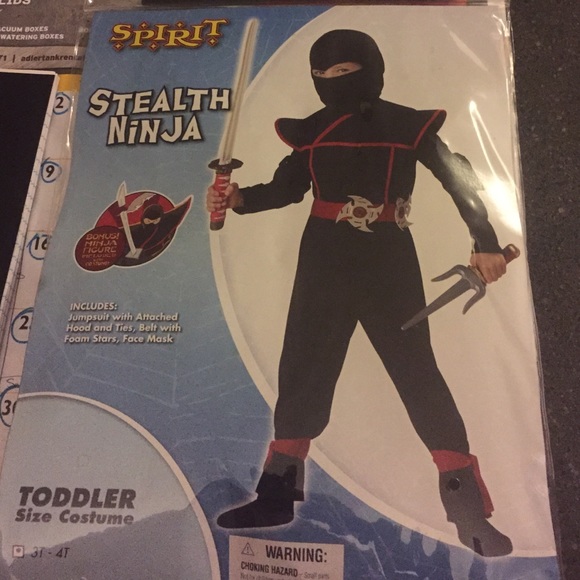 Stealth Ninja Costume