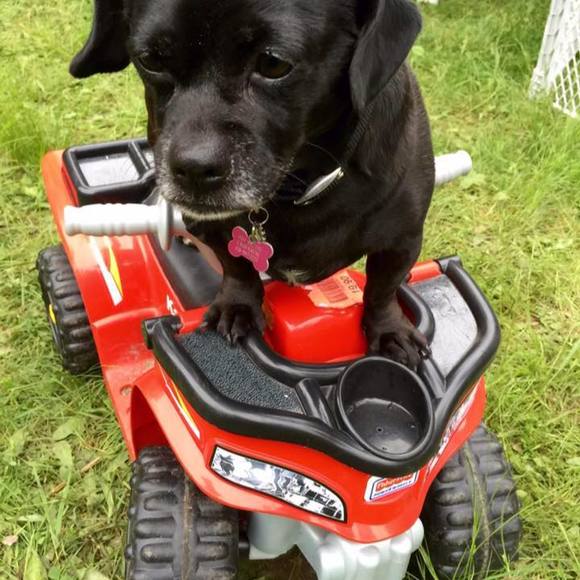 Meet your Posher, Andy - Picture 3 of 6