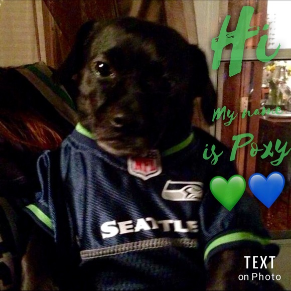 Meet your Posher, Andy - Picture 2 of 6