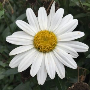 Meet your Posher, Katelynn