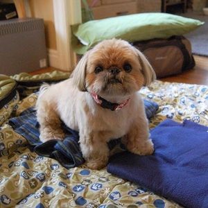 Meet your Posher, Erinn