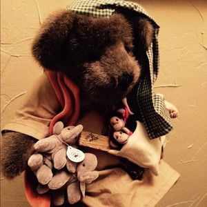 Boyd's Bear Collector Piece Noah's Ark Bear